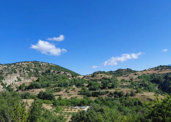 Konaku Zenelaj Selcke E Madhe Memaliaj Polisi i Vogel