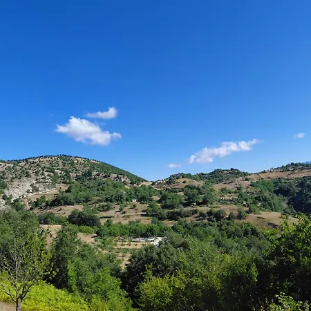 Konaku Zenelaj Selcke E Madhe Memaliaj Polisi i Vogel