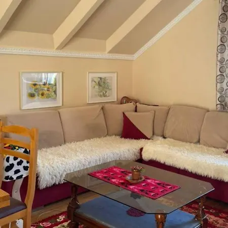 Appartement Konaku Zenelaj Selcke E Madhe Memaliaj Polisi i Vogel
