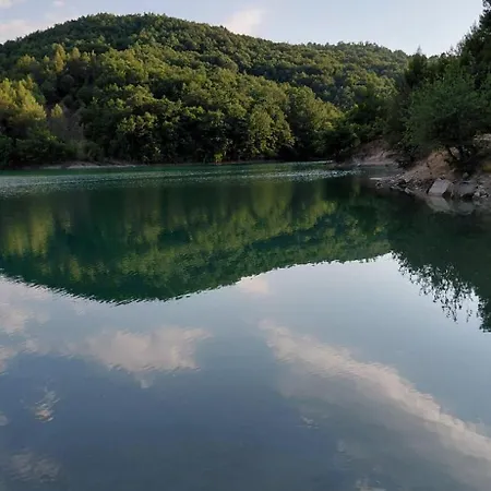 Konaku Zenelaj Selcke E Madhe Memaliaj *