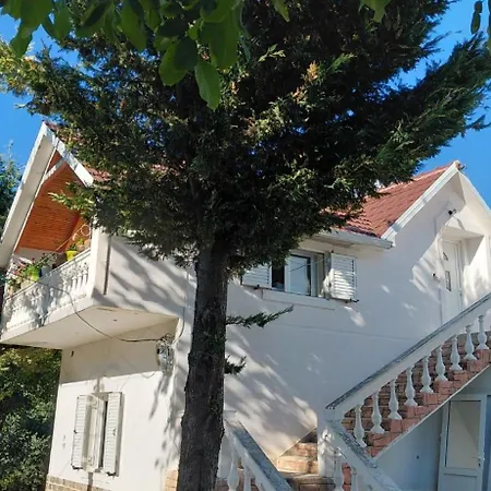 Konaku Zenelaj Selcke E Madhe Memaliaj Polisi i Vogel