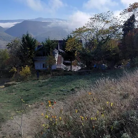 Konaku Zenelaj Selcke E Madhe Memaliaj * Polisi i Vogel