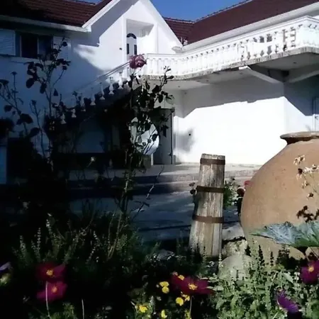 Konaku Zenelaj Selcke E Madhe Memaliaj
