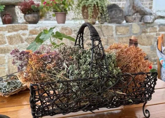 Konaku Zenelaj Selcke E Madhe Memaliaj Polisi i Vogel