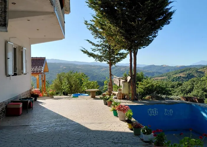 Konaku Zenelaj Selcke E Madhe Memaliaj * Polisi i Vogel