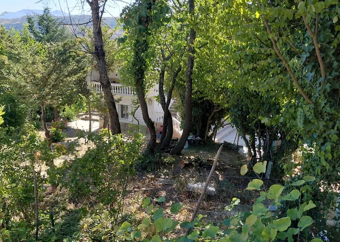 Apartment Konaku Zenelaj Selcke E Madhe Memaliaj Polisi i Vogel