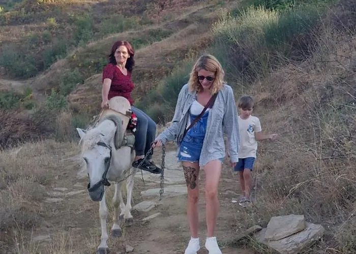 Appartement Konaku Zenelaj Selcke E Madhe Memaliaj