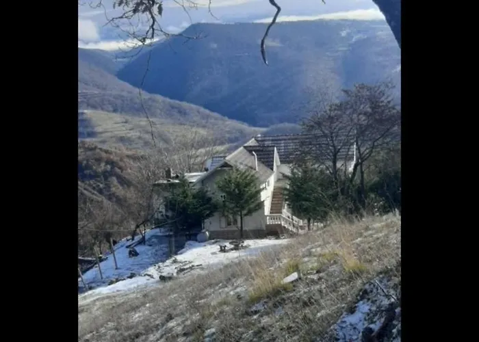 Konaku Zenelaj Selcke E Madhe Memaliaj * Polisi i Vogel